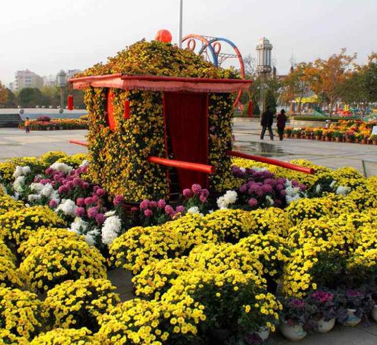 上海专业艺菊造型设计