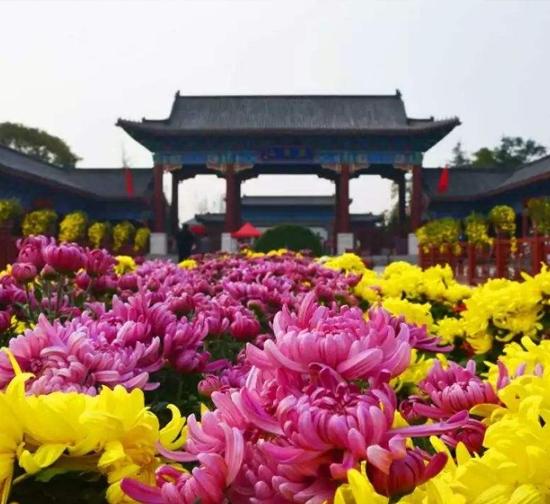 郑州公园菊展施工